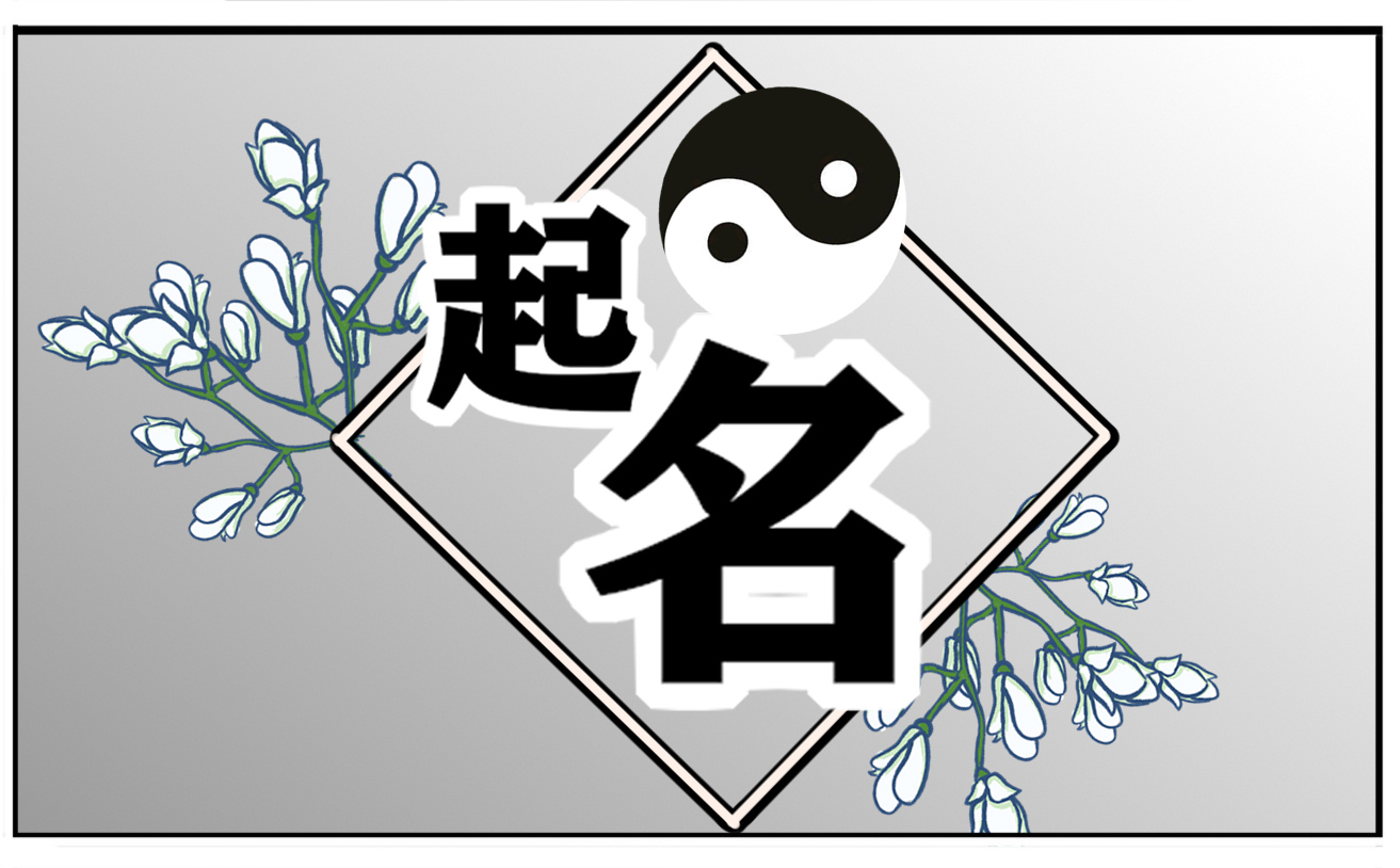 大气高端软件公司名字