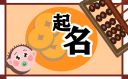 商标起名洋气的名字