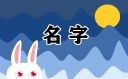好听的文化传媒公司名字