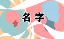 有创意高端的2021文化公司名字
