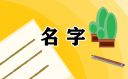 三个字简单好记大气好听的公司名字